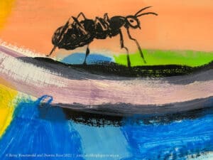 Postcard - Ant